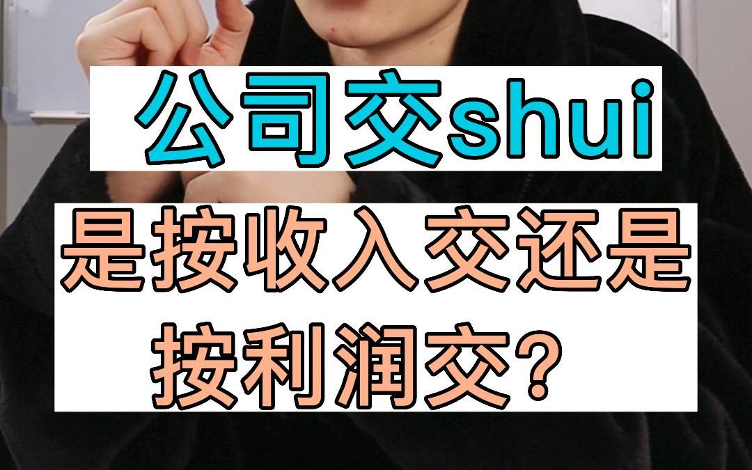 公司交税按收入交还是按利润交?哔哩哔哩bilibili