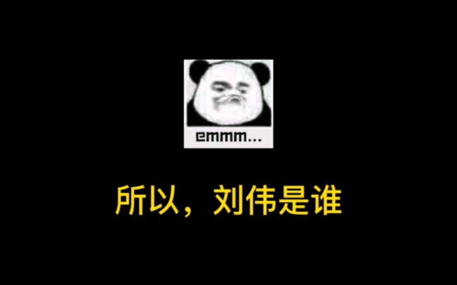 所以,刘伟是谁哔哩哔哩bilibili