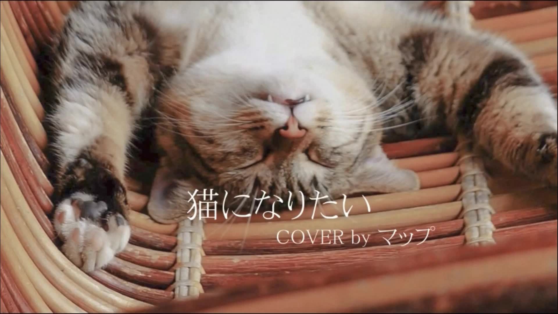 猫になりたい/cover スピッツ spitz