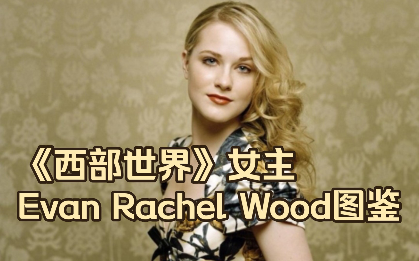 《西部世界》女主Evan Rachel Wood图鉴哔哩哔哩bilibili