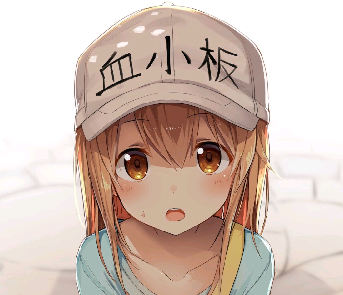 [分享壁纸]血小板,简介自取