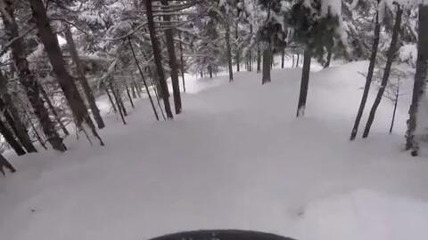 人工雪道弱爆了 第一视角带你滑天然树林 哔哩哔哩 人工雪道弱爆了 第一视角带你滑天然树林 哔哩哔哩