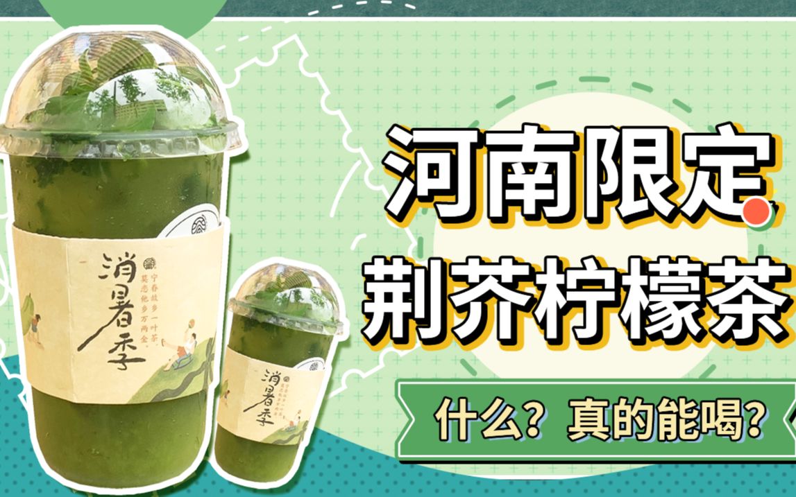 什么?这玩意居然能被做成饮料?河南限定荆芥手打柠檬茶到底中不中哔哩哔哩bilibili