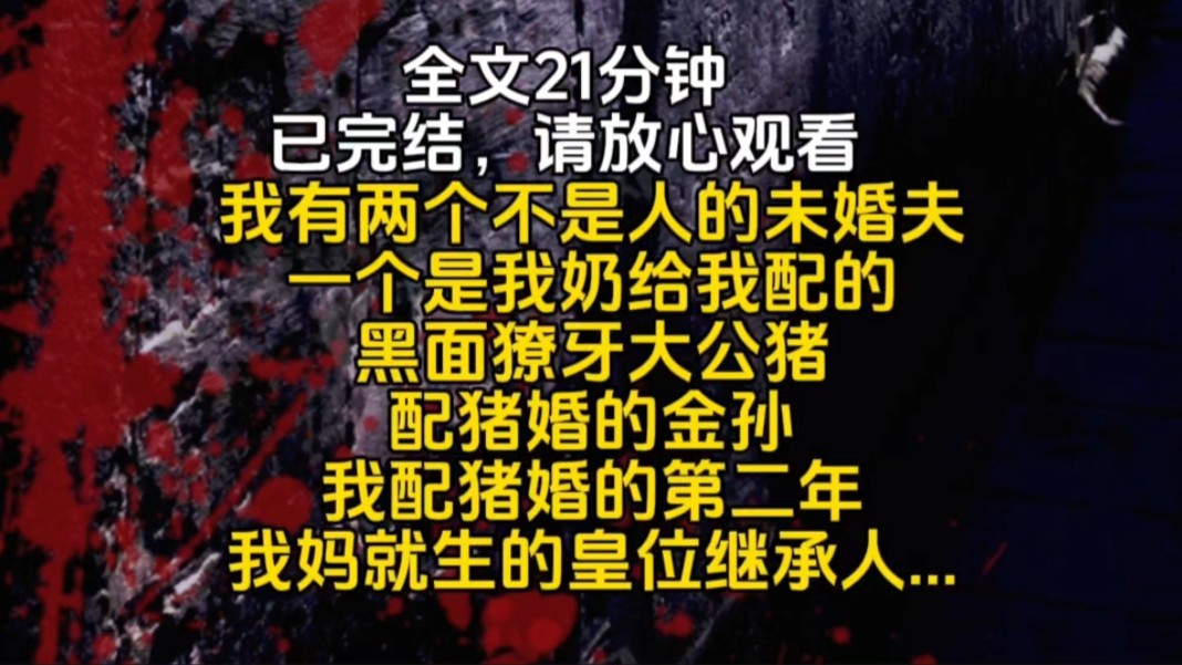 我有两个不是人的未婚夫一个是我奶给我配的黑面獠牙大公猪配猪婚的金孙我配猪婚的第二年我妈就生的皇位继承人...哔哩哔哩bilibili