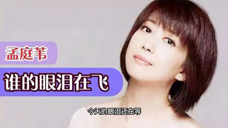 孟庭苇—谁的眼泪在飞