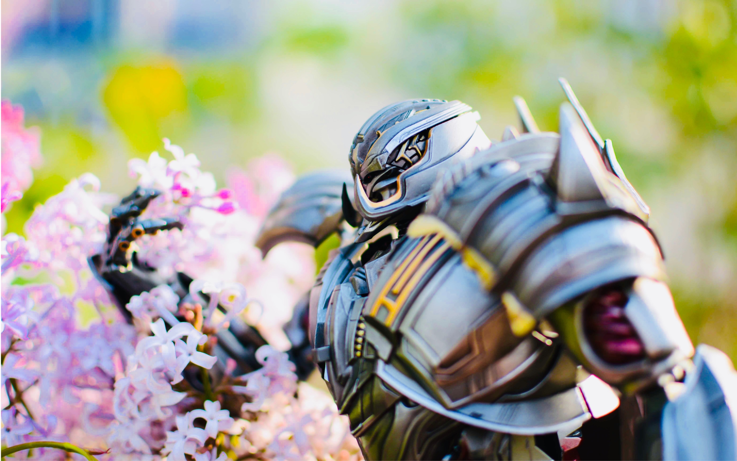 bs02威震天 随拍