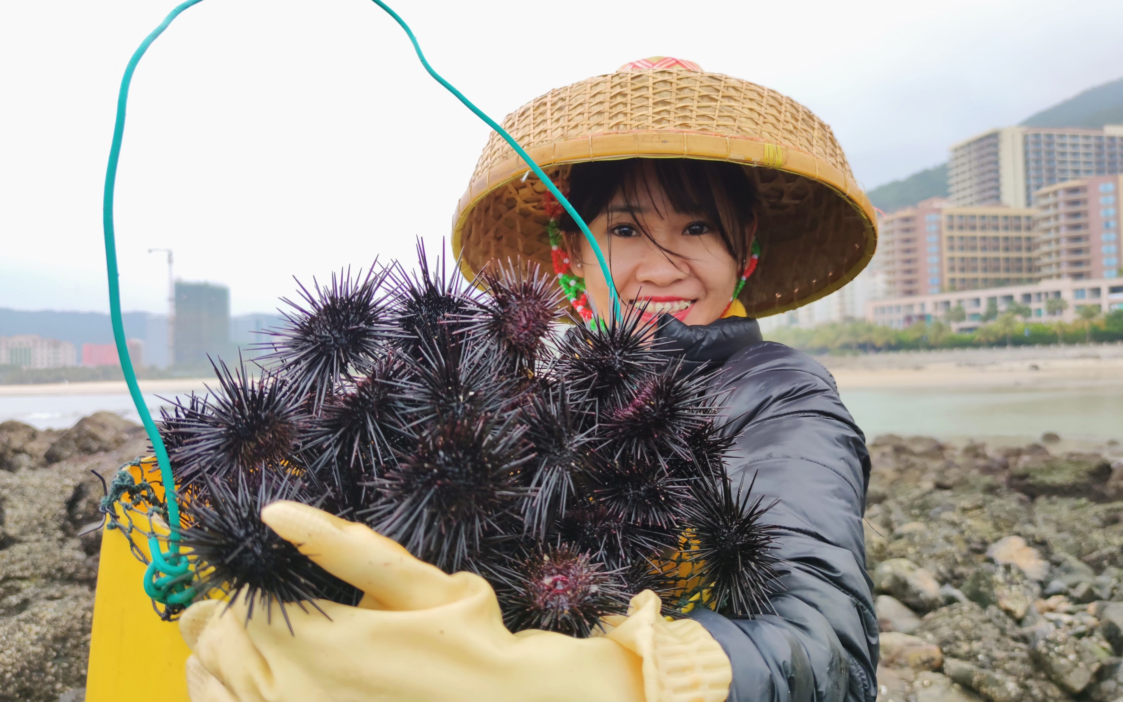 旅游区的海胆已泛滥成灾,游客们不相信,阿渔妹一个桶都装不下了