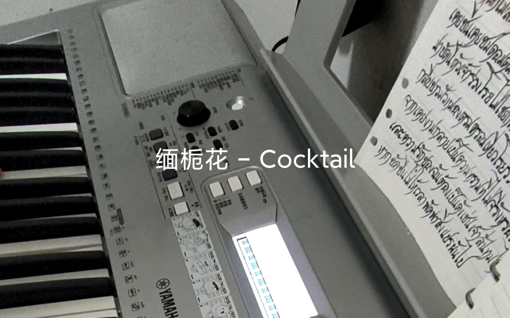 《爱的香气ost弹唱》ลั่นทม  Cocktail 解锁新cp朗哥&查农哔哩哔哩bilibili