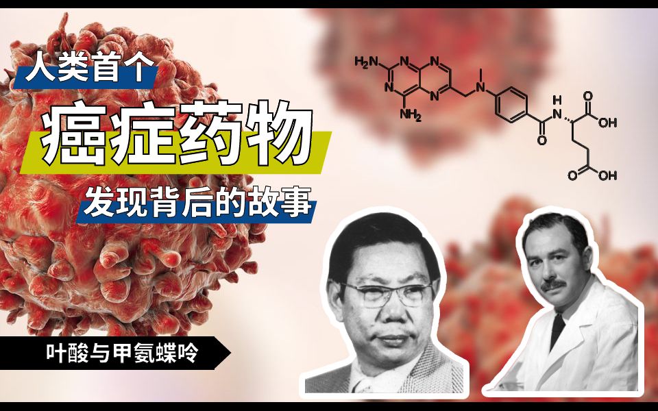 【癌症简史01】癌症孤儿,白血病的可怕往事与甲氨蝶呤的故事哔哩哔哩bilibili