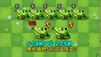 Video herunterladen: 5个4阶植物VS2个5阶植物！5阶能赢的绝对是王者！植物大战僵尸