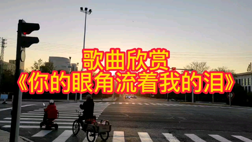 [图]歌曲欣赏《你的眼角流着我的泪》 #好听经典歌曲