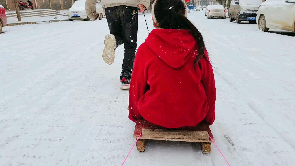 我的快乐,人拉雪橇