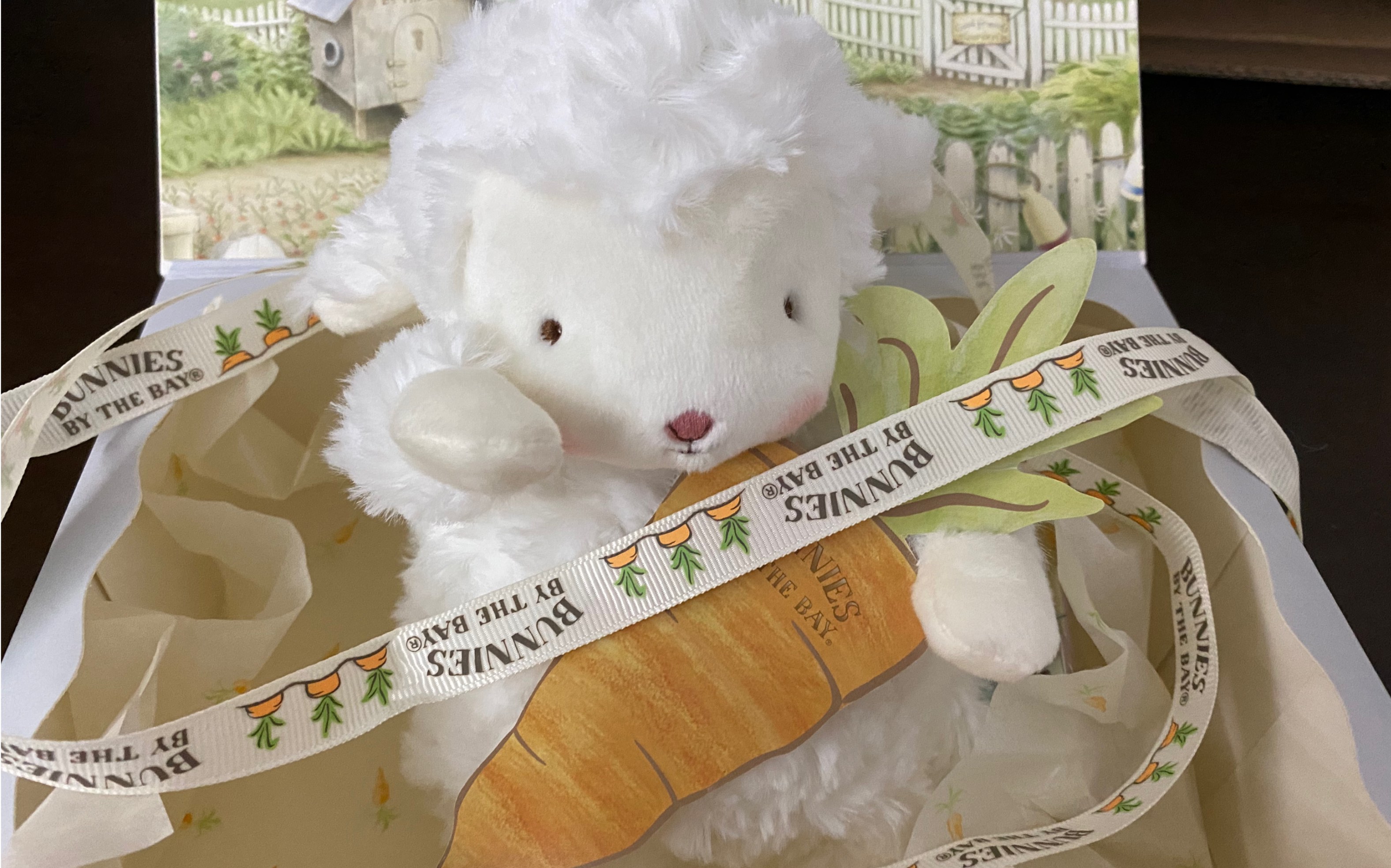 kiddo开箱我终于有小羊辣