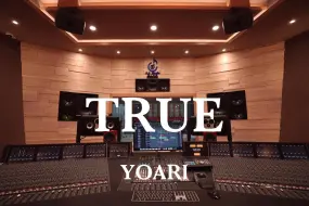 Descargar video: YOARI《TRUE》(《与恶魔有约》OST)百万豪装录音棚大声听【Hi-res】