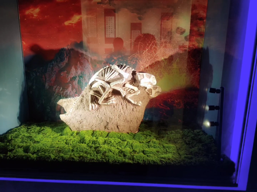 《论在化石博物馆中发现永恒的爱》它们不社死吗?