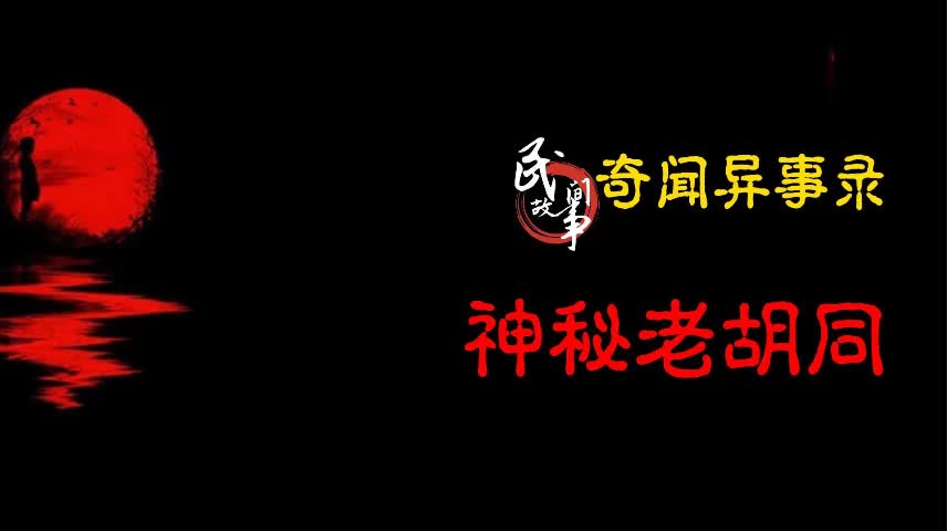 【奇闻异事录】神秘老胡同里的古怪事哔哩哔哩bilibili