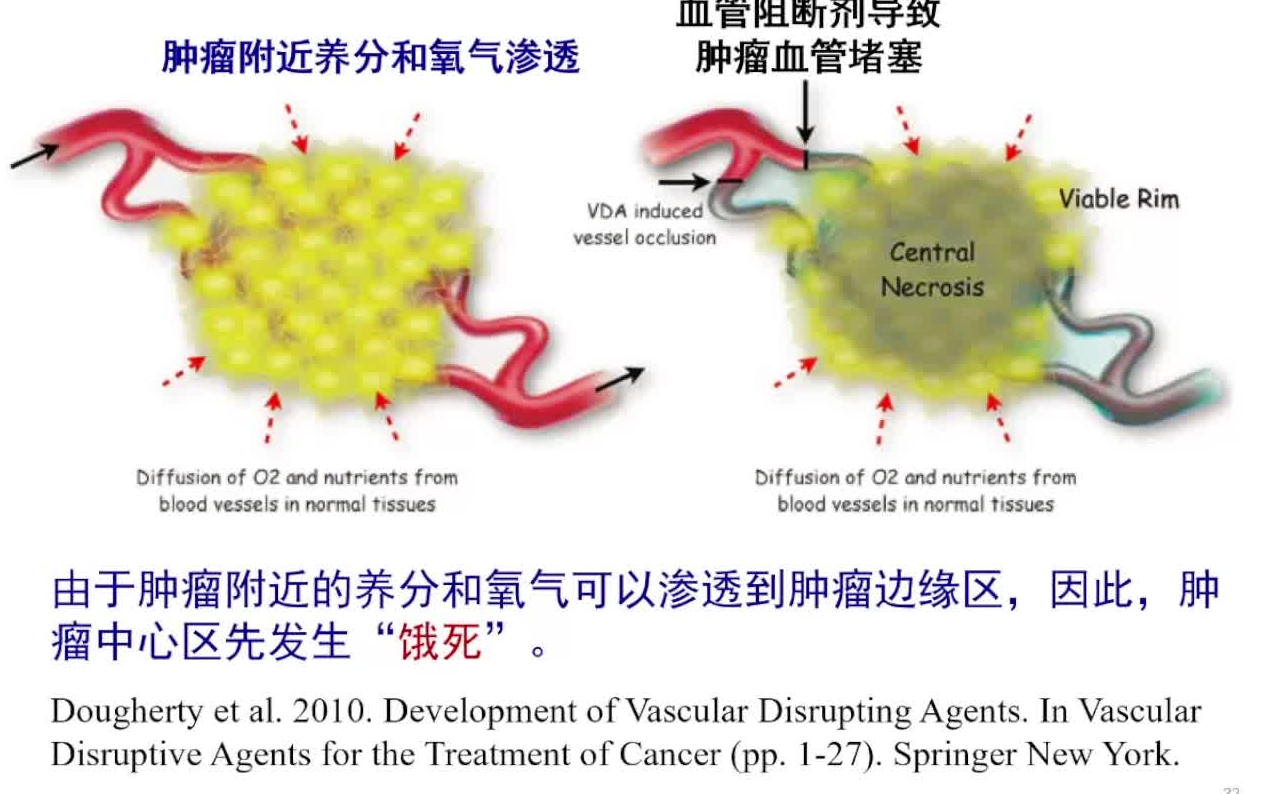 20220402中国科学院陈学思聚氨基酸纳米药物载体材料哔哩哔哩bilibili