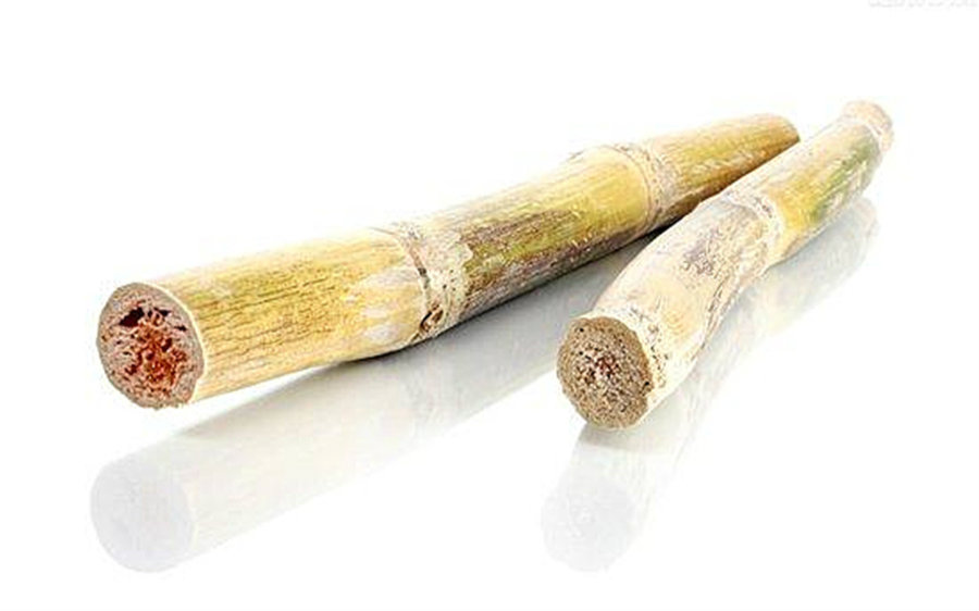 清明蔗毒过蛇最近你吃过发红的甘蔗了吗