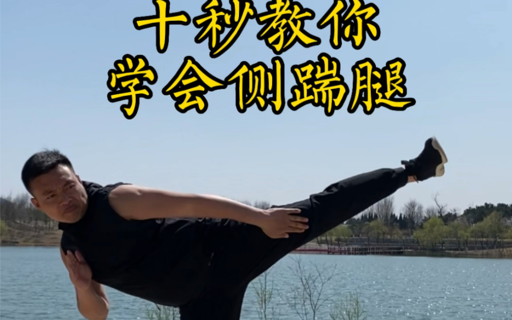 十秒教你学会侧踹腿