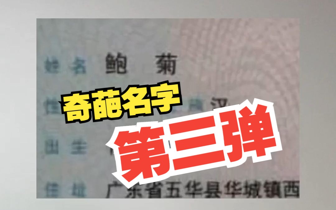 【小旭】这些人的名字,是怎么想出来的?哔哩哔哩bilibili