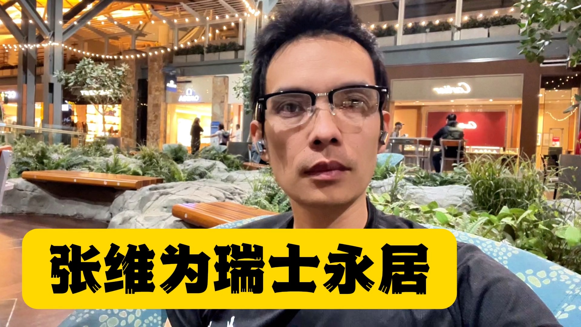 张维为瑞士永居?乌鸦怎知鸿鹄之志?#张维为