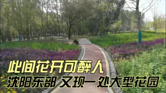 Télécharger la video: 此间花开可醉人，沈阳东部，又多一处大型花园