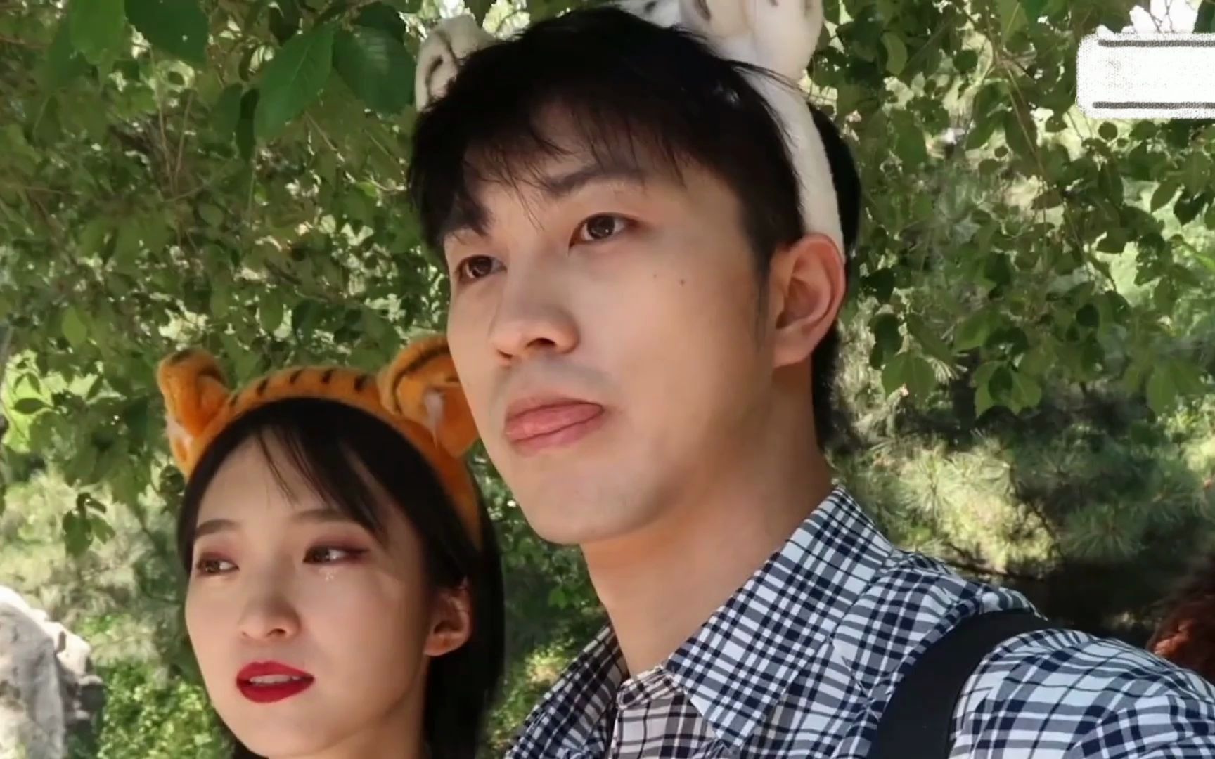 【赵琦君&杨凯雯 奇闻cp】"它那么胖,一看就是怀孕了""它一看就是个公