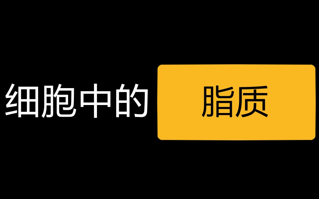 【高中生物】新学期逆袭!细胞中的脂质有哪些?怎么记住它们呢?2.3 细胞中的糖类和脂质(下)哔哩哔哩bilibili