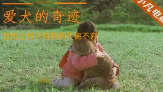 爱犬的奇迹 狗狗在地震中勇救主人一家 还差点失去自己的3个孩子 太感人了 哔哩哔哩 Bilibili