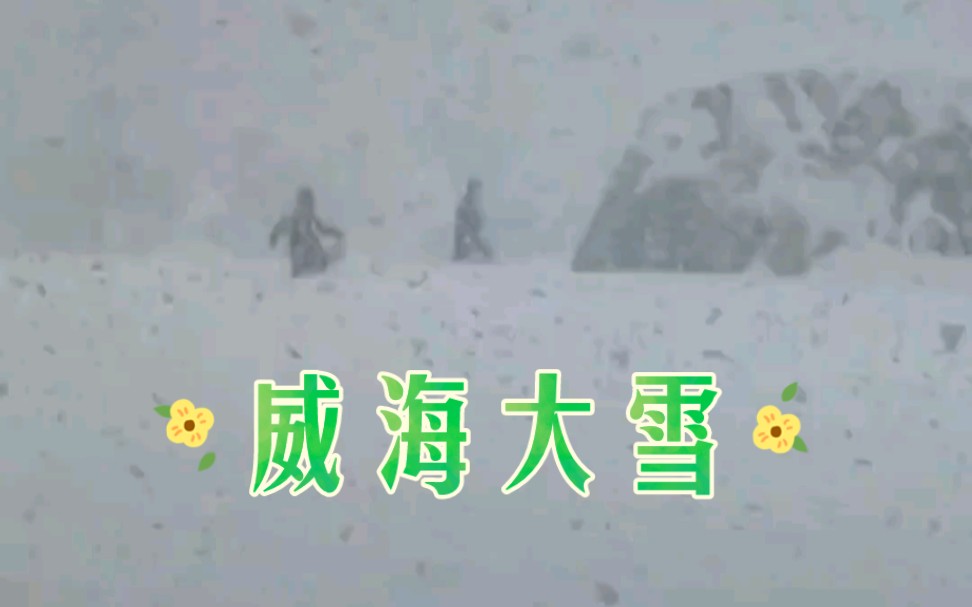 威海大雪,大到你想象不到哔哩哔哩bilibili