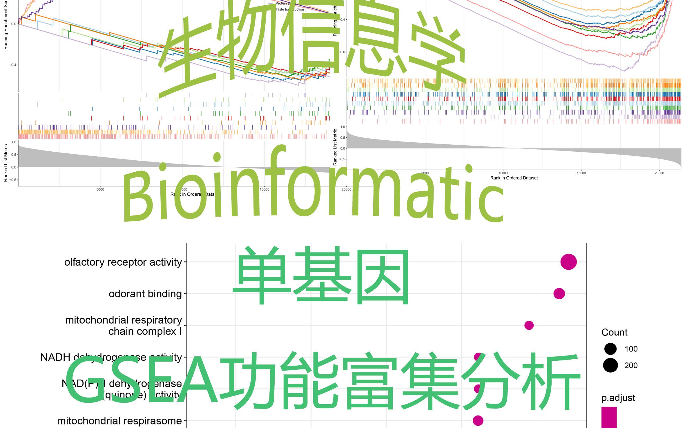 GSEA单基因富集分析 | 20220404哔哩哔哩bilibili