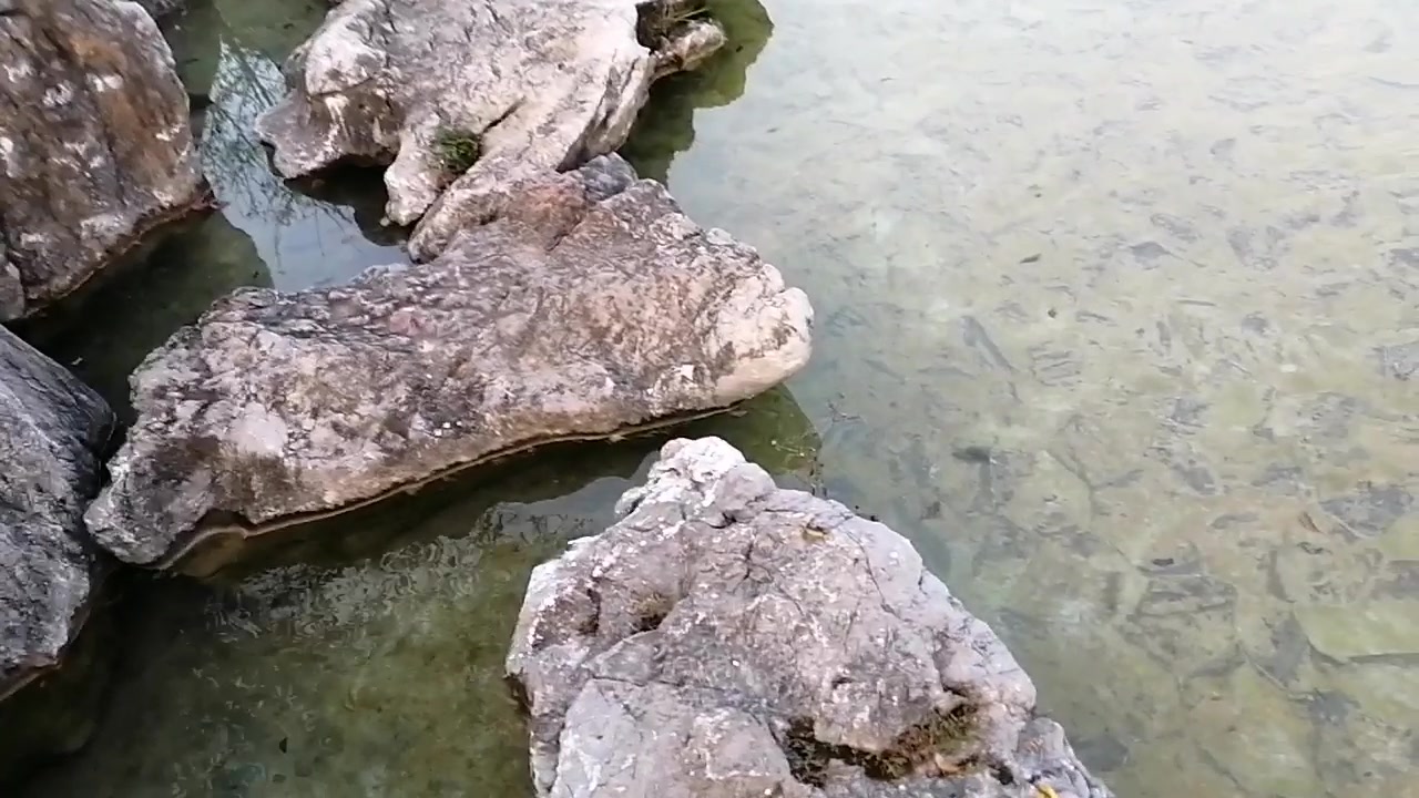 晨游仙林湖公园(二) 南京市栖霞区20231103