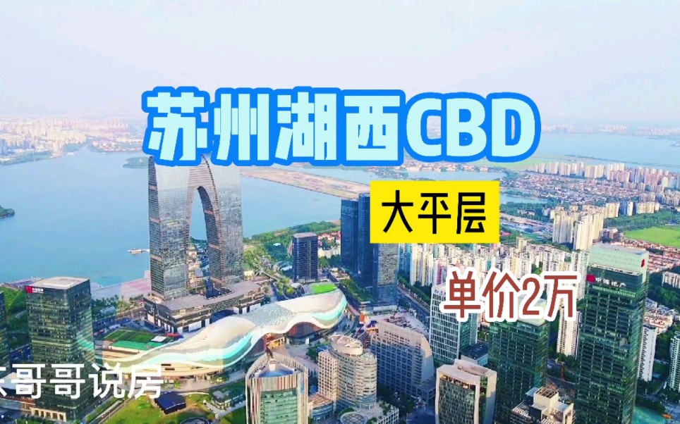 苏州东方之门旁单价2万的湖景大平层你敢信吗?哔哩哔哩bilibili