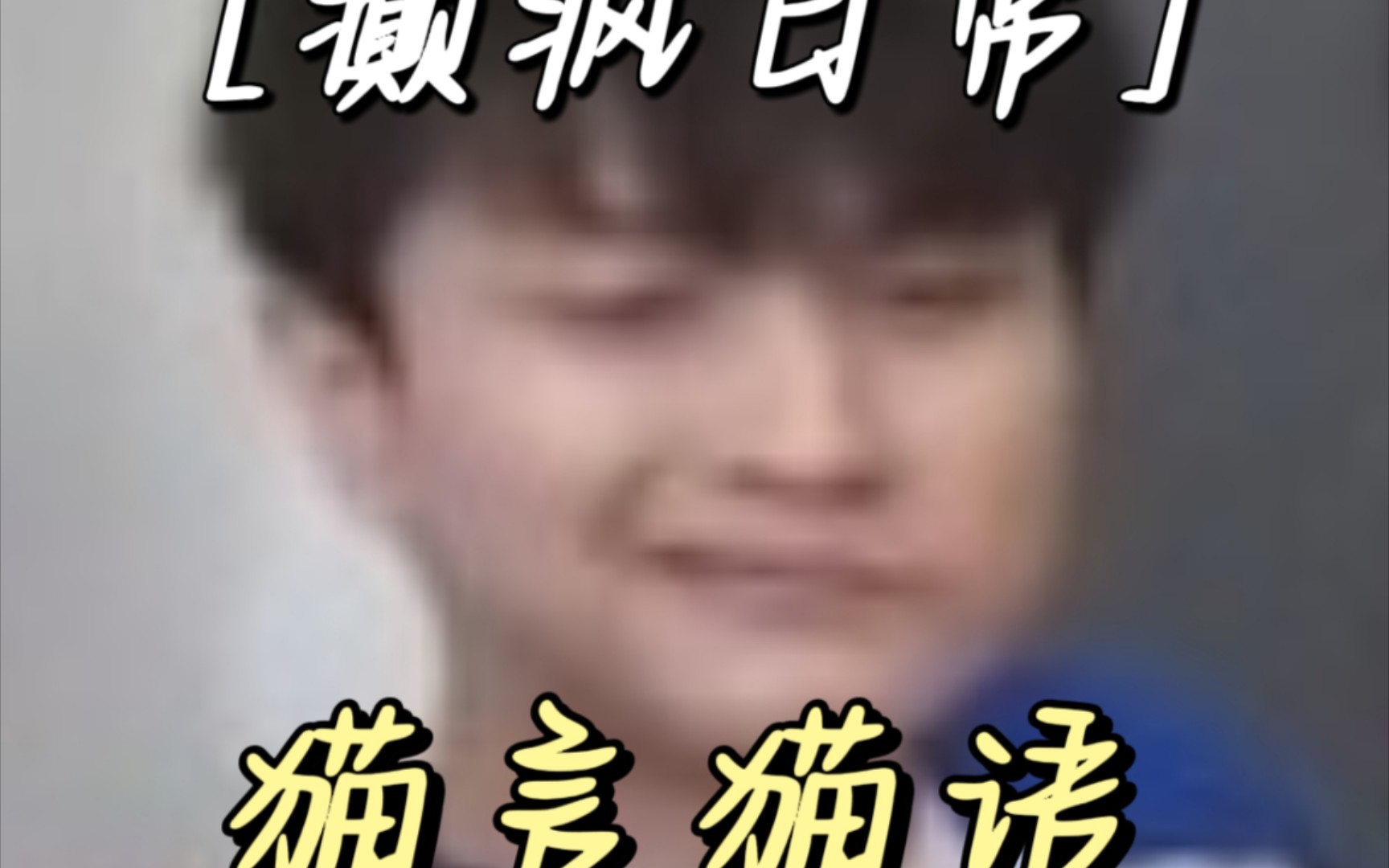 【陈正正cat猫神】猫言猫语cut,癫疯日常操作