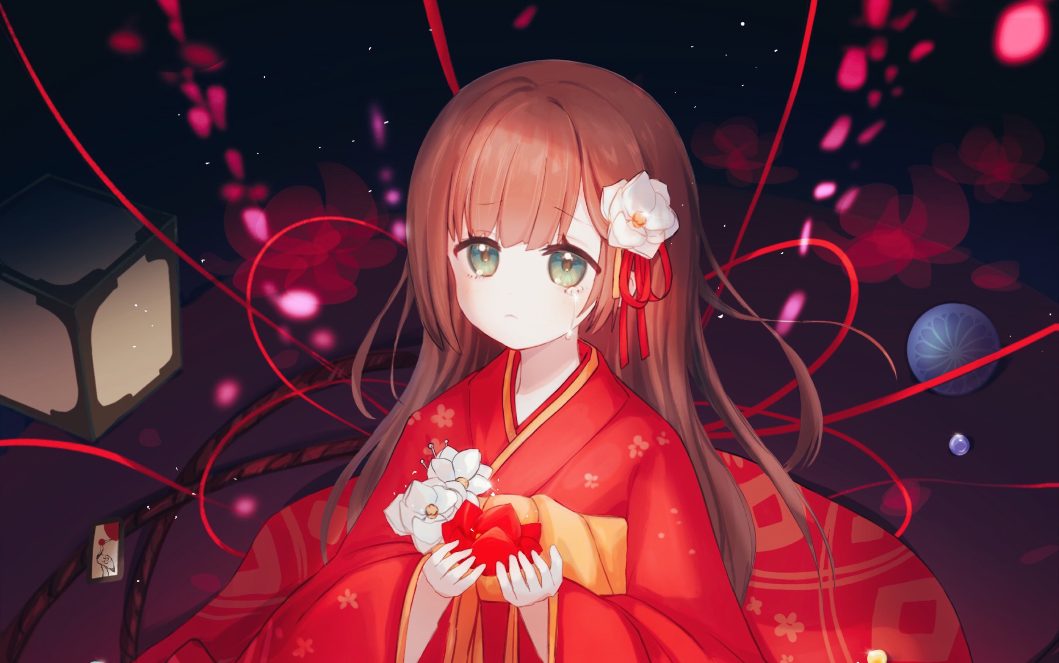 【procreate绘画过程】朧月/mafumafu