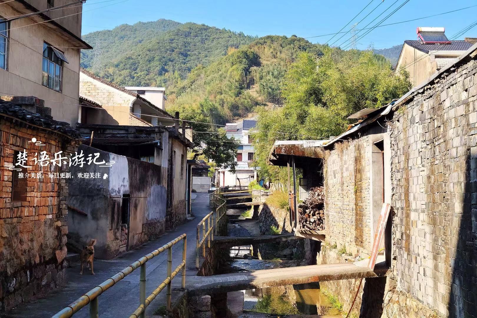 浙江宁波剡溪畔塔下村,默默无闻但风光秀丽,梯田茶园是观日胜地哔哩哔哩bilibili