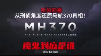 Video herunterladen: 听风的蚕从刑侦角度还原马航370真相！——魔鬼到底是谁！