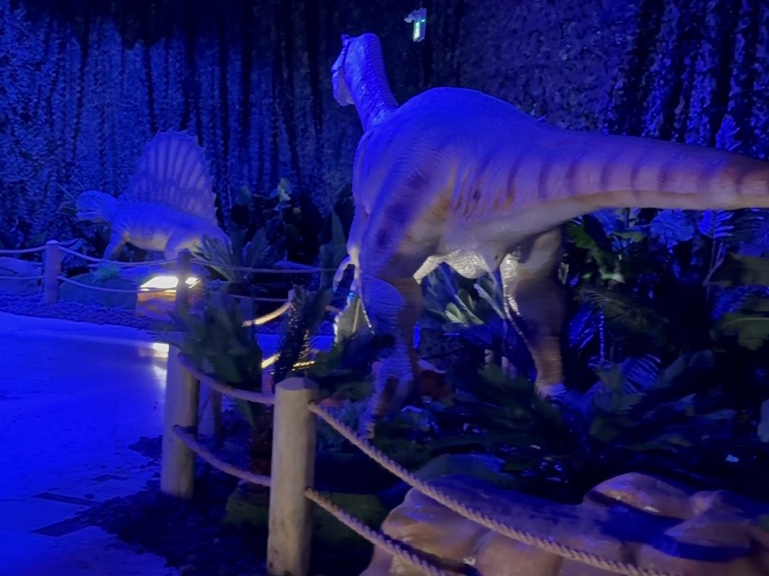 “Dinos Alive: 恐龙体验展”首登多伦多!Dinos Alive: An Immersive Experience哔哩哔哩bilibili