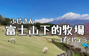 Download Video: 富士山脚下的牧场，感受自然好去处！！