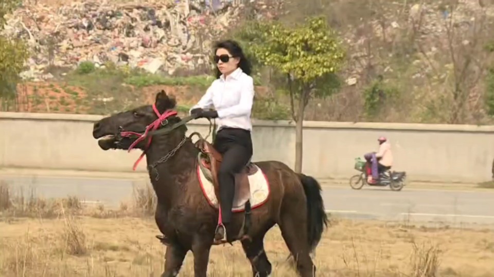 司马如佳骑马完整版奉上,感谢粉丝们的支持,在下言出必行