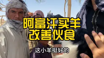 Descargar video: 阿富汗买羊改善伙食