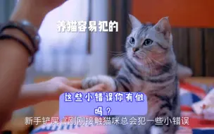 Download Video: 养猫容易犯的小错误！