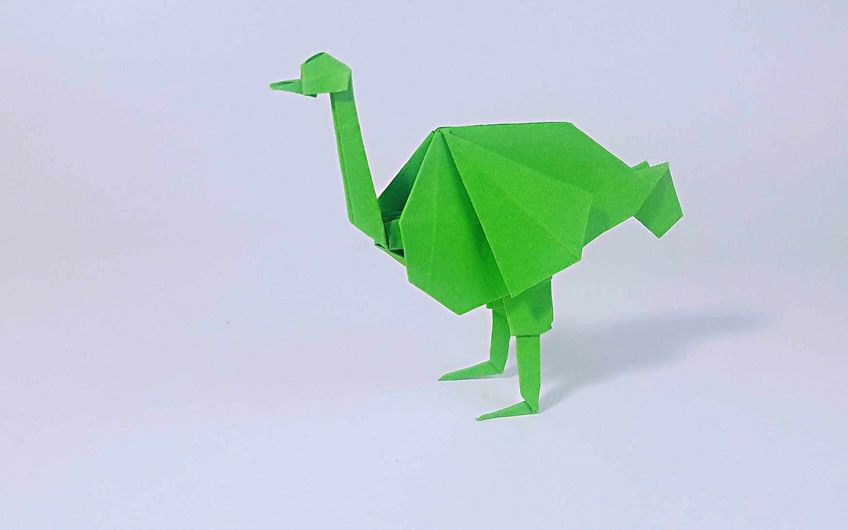 教你折纸鸵鸟,简单形象