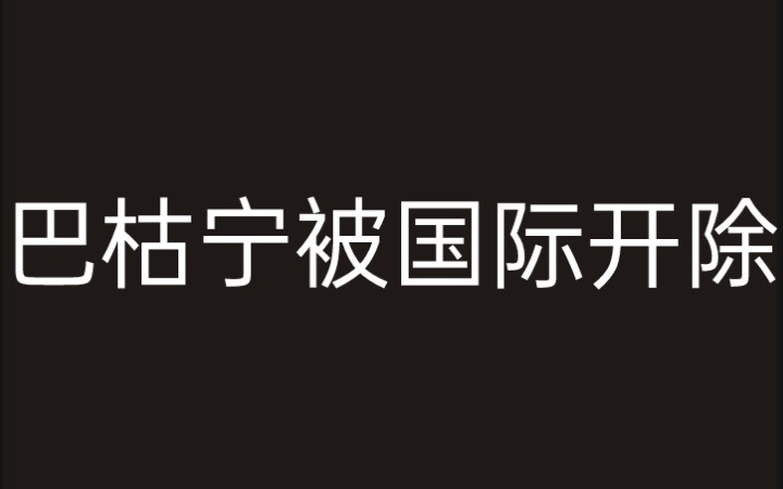 巴枯宁被国际开除哔哩哔哩bilibili