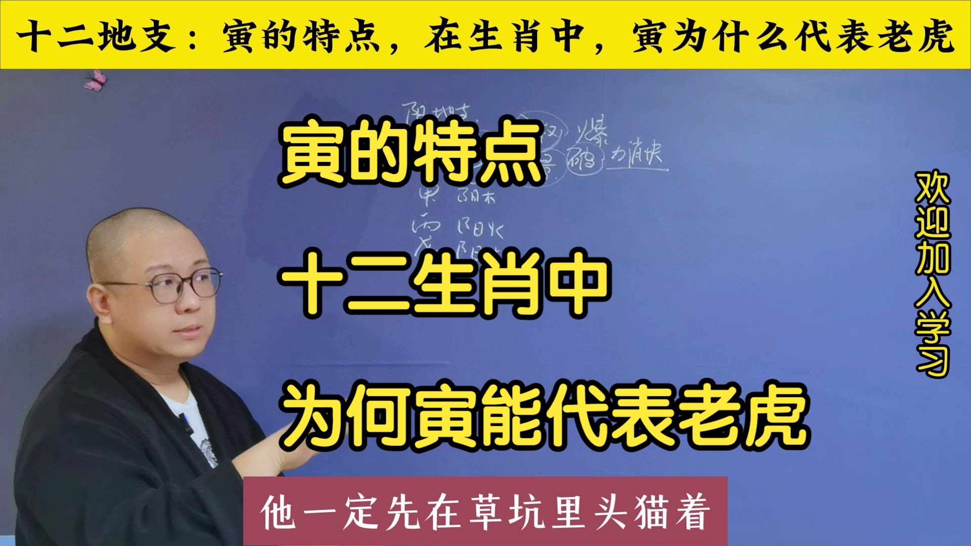 寅的特点:生肖中,为何寅能代表老虎哔哩哔哩bilibili