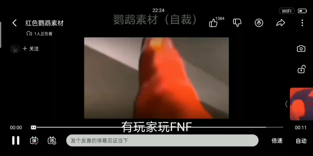 [图]红色鹦鹉玩FNF