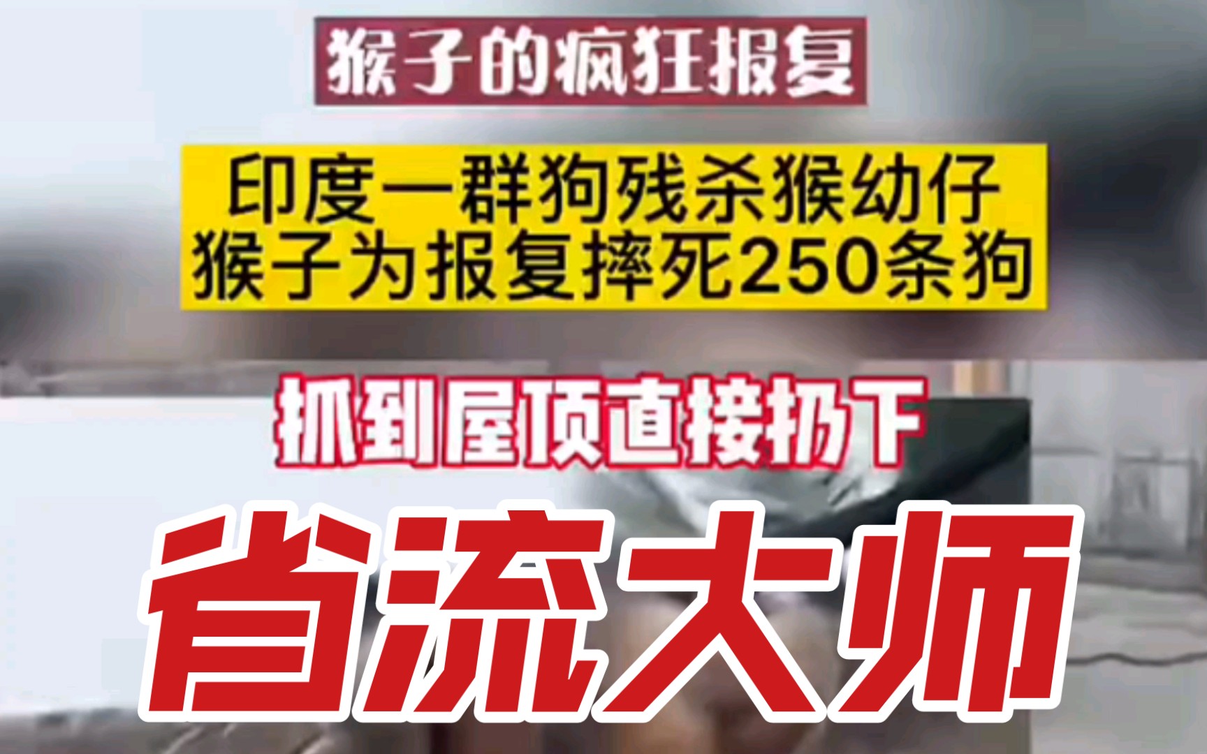 [图]新闻头条:“越南人”和“日本人”在印度干起来了