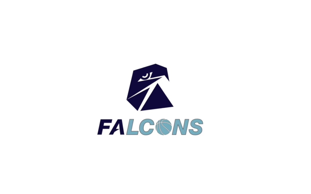 猎鹰篮球俱乐部 Falcons HS Blue 球队纪录短片哔哩哔哩bilibili