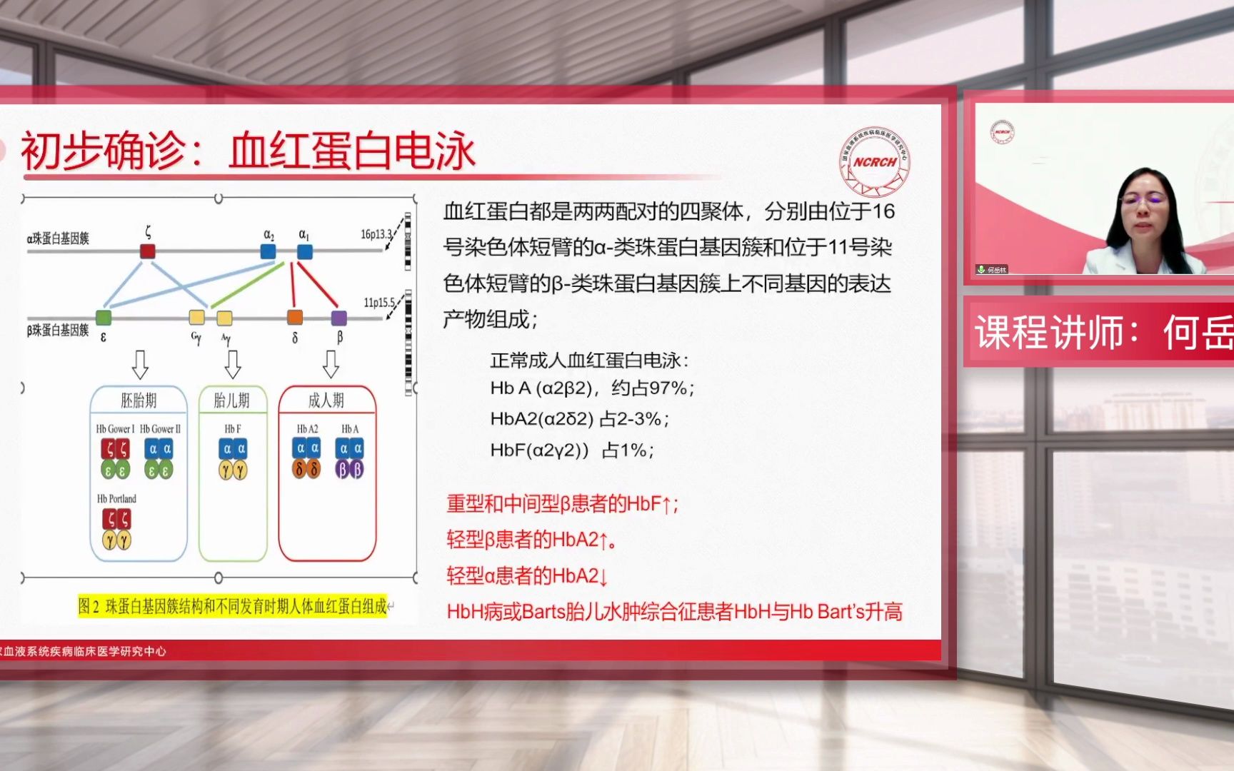 何岳林教授:地中海贫血的诊断和治疗哔哩哔哩bilibili