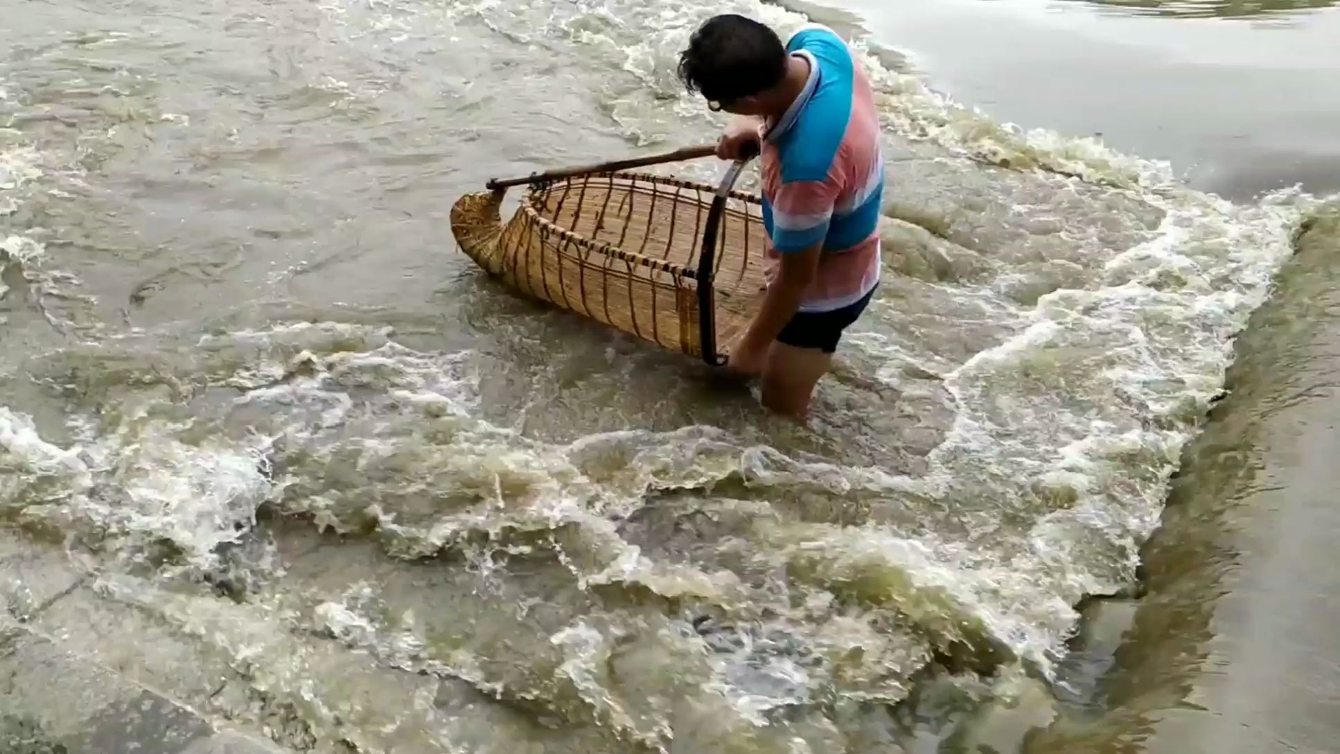广西桂林漓江不断涨水一大哥冒险到桃花江捞鱼猜猜他能捞到多少鱼